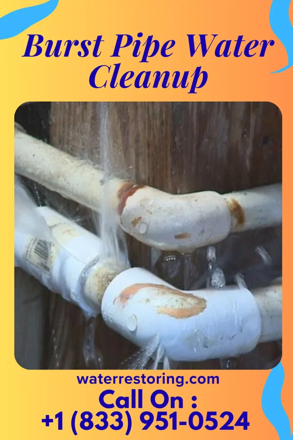 Burst Pipe Water Cleanup in Riverside, MO