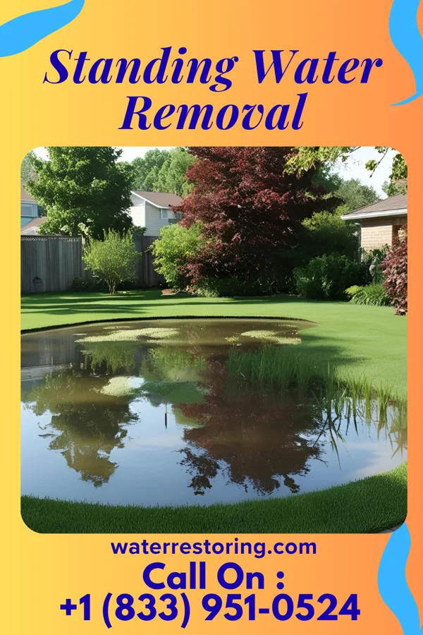 Standing Water Removal in Riverside, MO
